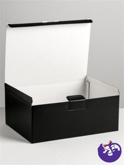 Коробка‒пенал «Хэппи пёздей», 26 × 19 × 10 см 4940701
