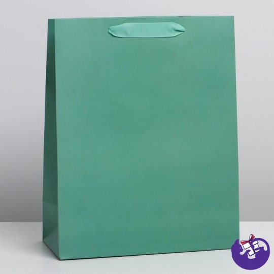 Пакет ламинированный «Зеленый», ML 23 × 27 × 11.5 см   7304177