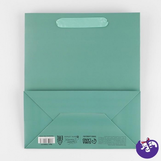Пакет ламинированный «Зеленый», ML 23 × 27 × 11.5 см   7304177